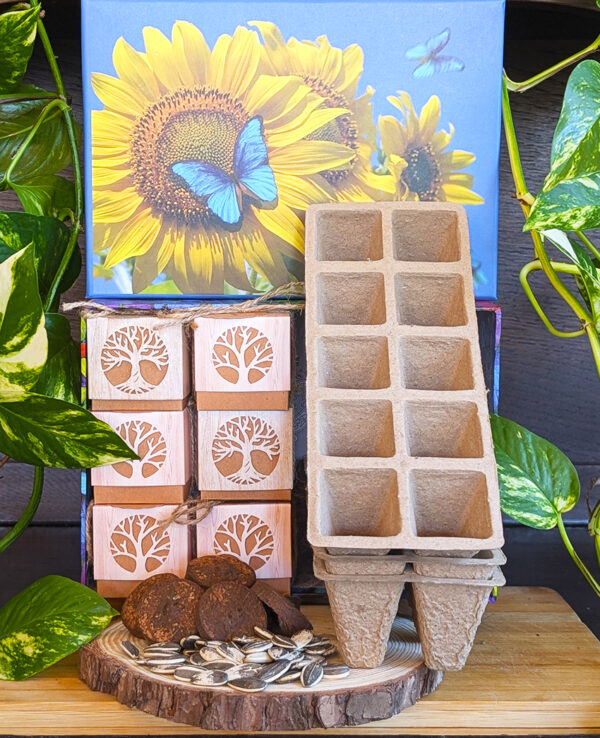 Los Girasoles Huerto Escolar